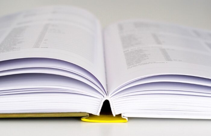 libri Gdf, Guardia di Finanza, 2016, reati 2016 GdF, data journalism, Giuditta Mosca, press-IT, Giuditta Mosca, data journalism, giornalista, press-IT, serietà, assistenza informatica Roma