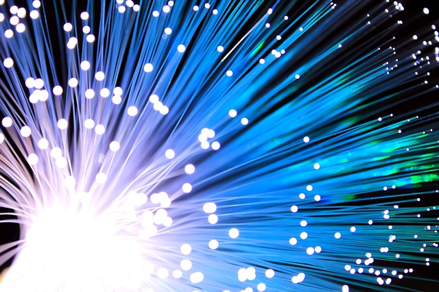fibra internet, italiani, Istat, 2017, data journalism, dati, giornalismo dei dati, Wired Italia, Giuditta Mosca